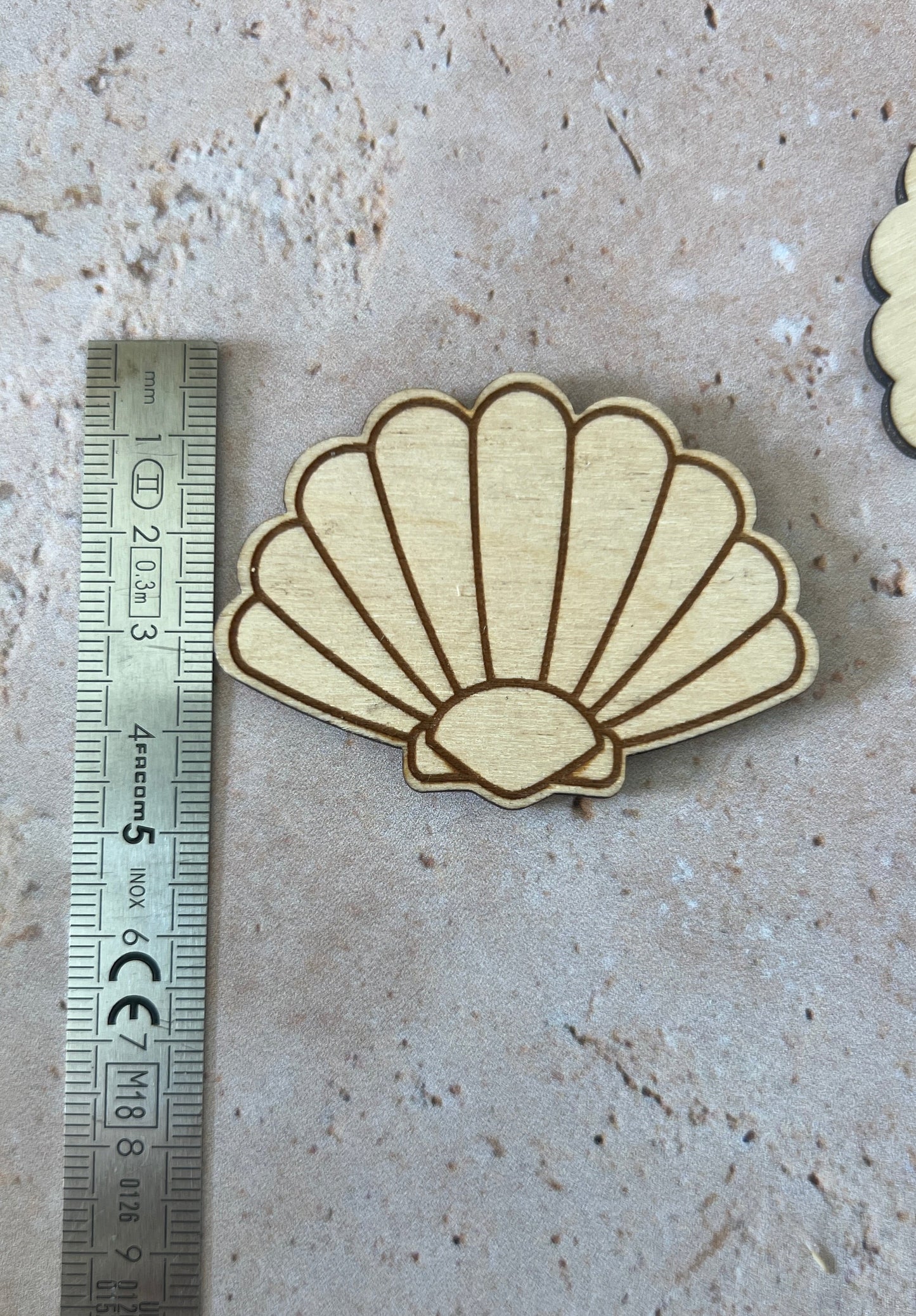 Magnet coquillage