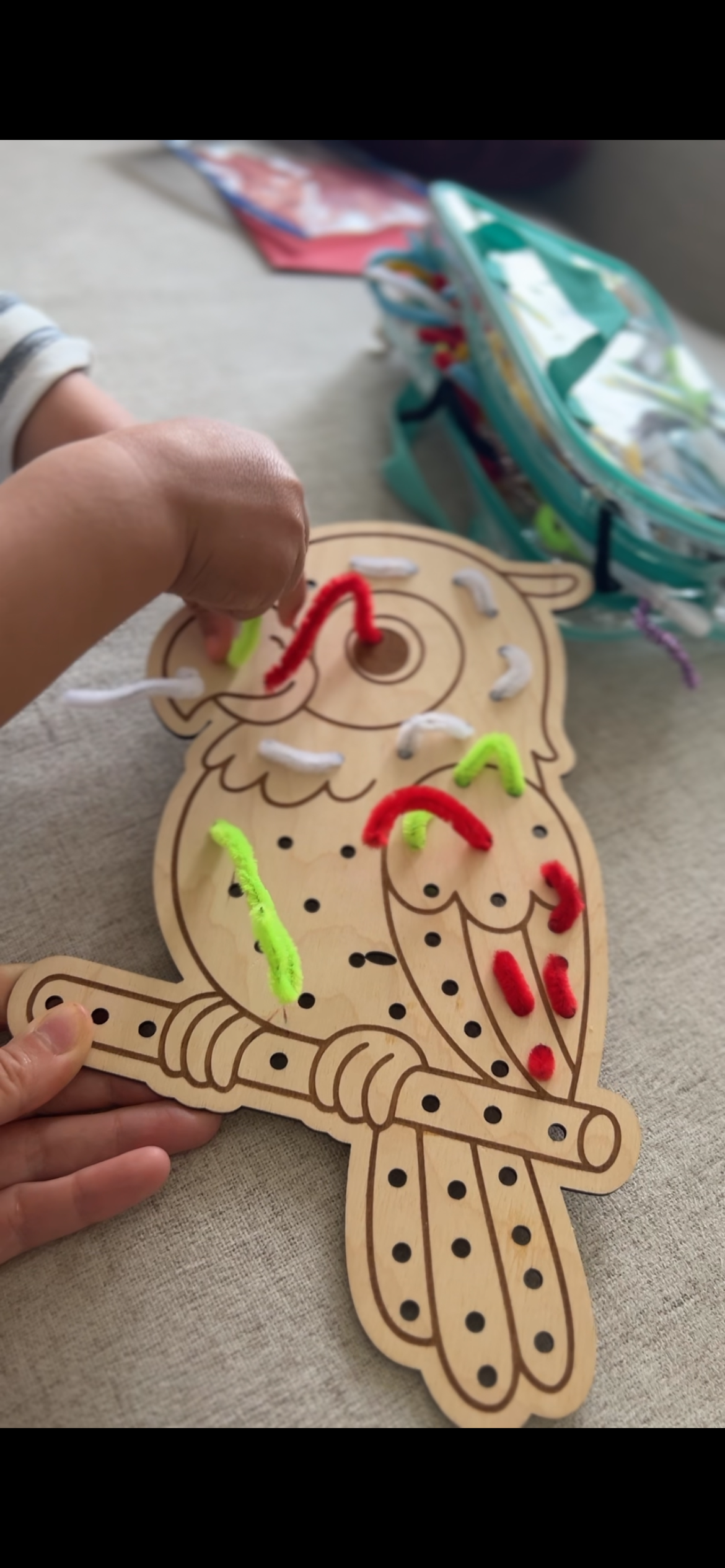 Perroquet en bois éducatif- Jeu de motricité fine - Montessori- couleurs
