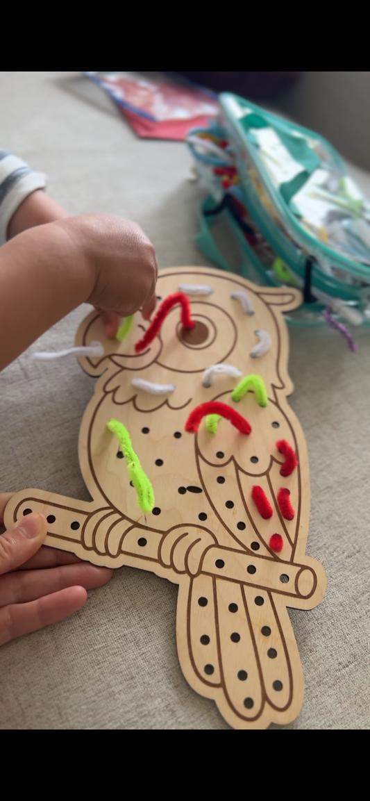 Perroquet en bois éducatif- Jeu de motricité fine - Montessori- couleurs