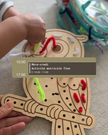Perroquet en bois éducatif- Jeu de motricité fine - Montessori- couleurs