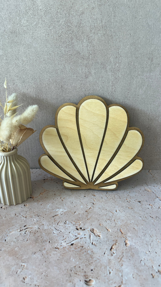 Coquillage mural