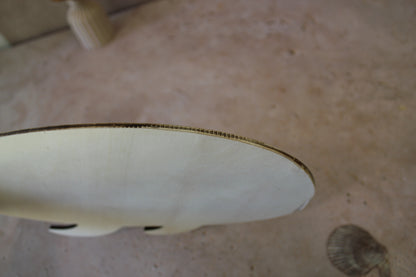 Baleine